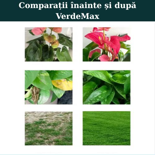 VerdeMax - Fertilizant Plante și Gazon