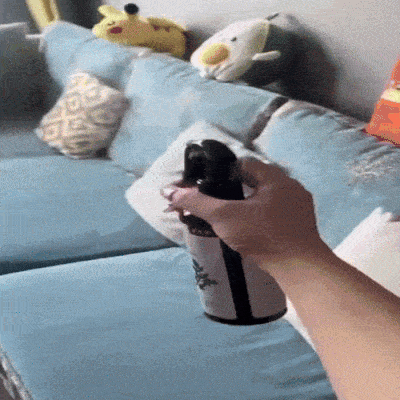 BugFree - Spray Anti-Acarieni și Ploșnițe