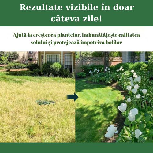 VerdeMax - Fertilizant Plante și Gazon