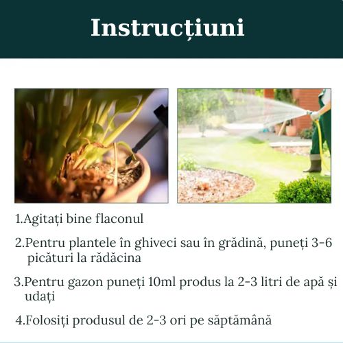 VerdeMax - Fertilizant Plante și Gazon