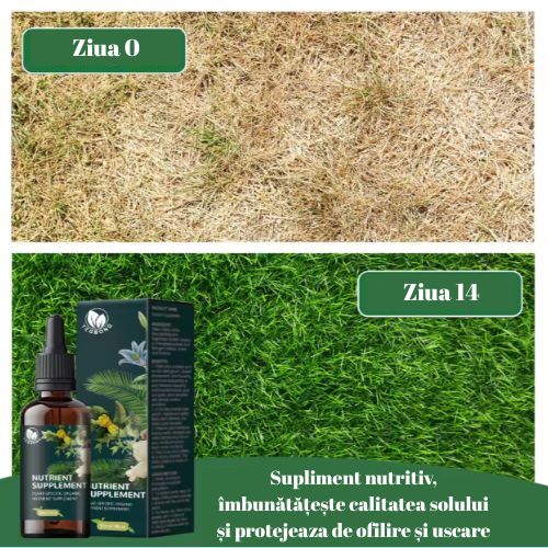 VerdeMax - Fertilizant Plante și Gazon